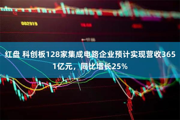 红盘 科创板128家集成电路企业预计实现营收3651亿元，同比增长25%