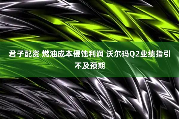 君子配资 燃油成本侵蚀利润 沃尔玛Q2业绩指引不及预期