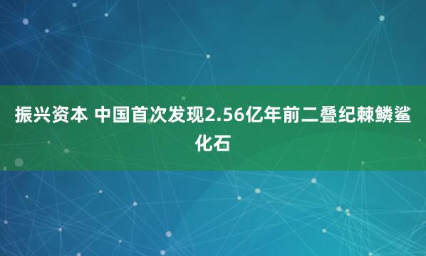 振兴资本 中国首次发现2.56亿年前二叠纪棘鳞鲨化石