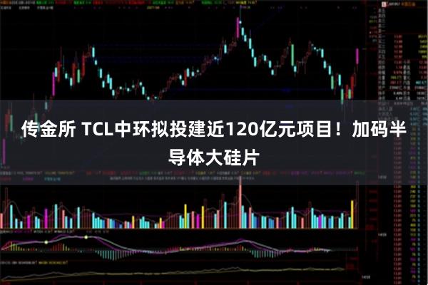 传金所 TCL中环拟投建近120亿元项目!加码半导体大硅片