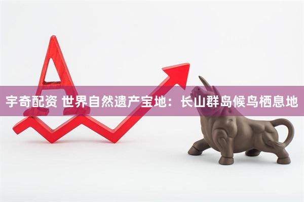 宇奇配资 世界自然遗产宝地：长山群岛候鸟栖息地