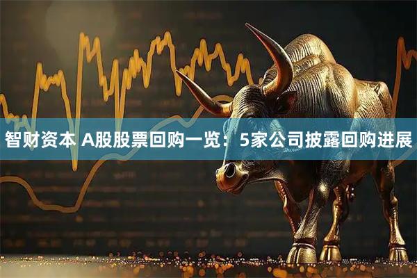 智财资本 A股股票回购一览：5家公司披露回购进展