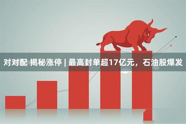 对对配 揭秘涨停 | 最高封单超17亿元，石油股爆发