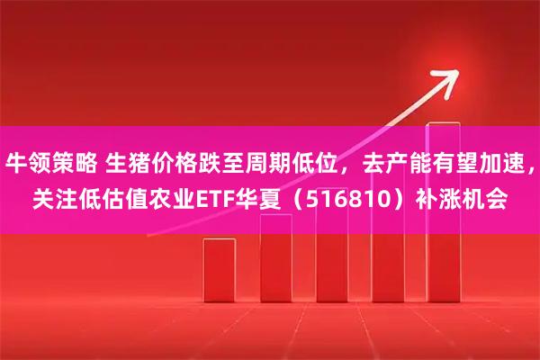 牛领策略 生猪价格跌至周期低位，去产能有望加速，关注低估值农业ETF华夏（516810）补涨机会