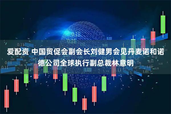 爱配资 中国贸促会副会长刘健男会见丹麦诺和诺德公司全球执行副总裁林意明