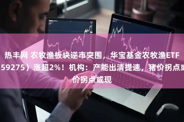 热丰网 农牧渔板块逆市突围，华宝基金农牧渔ETF（159275）涨超2%！机构：产能出清提速，猪价拐点或现