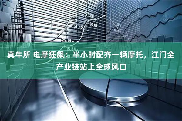 真牛所 电摩狂飙：半小时配齐一辆摩托，江门全产业链站上全球风口
