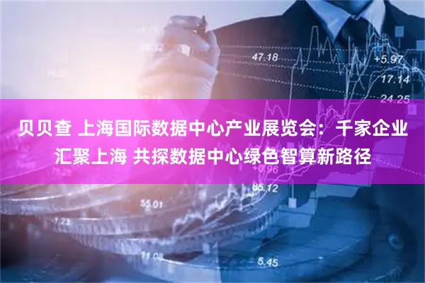 贝贝查 上海国际数据中心产业展览会:千家企业汇聚上海 共探数据中心绿色智算新路径