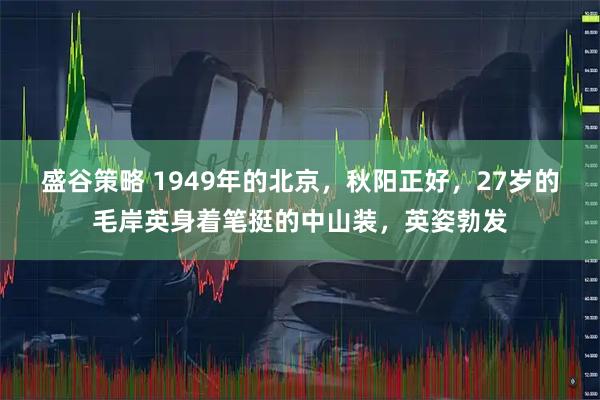 盛谷策略 1949年的北京，秋阳正好，27岁的毛岸英身着笔挺的中山装，英姿勃发
